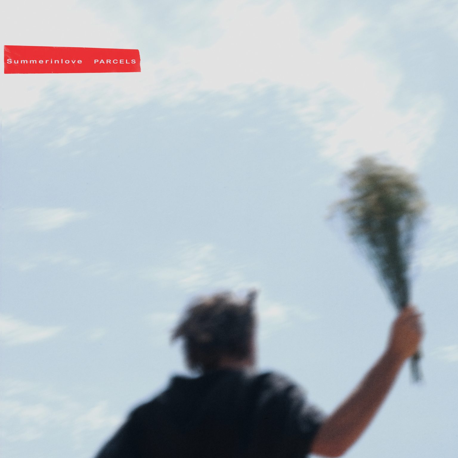 Parcels Because Music